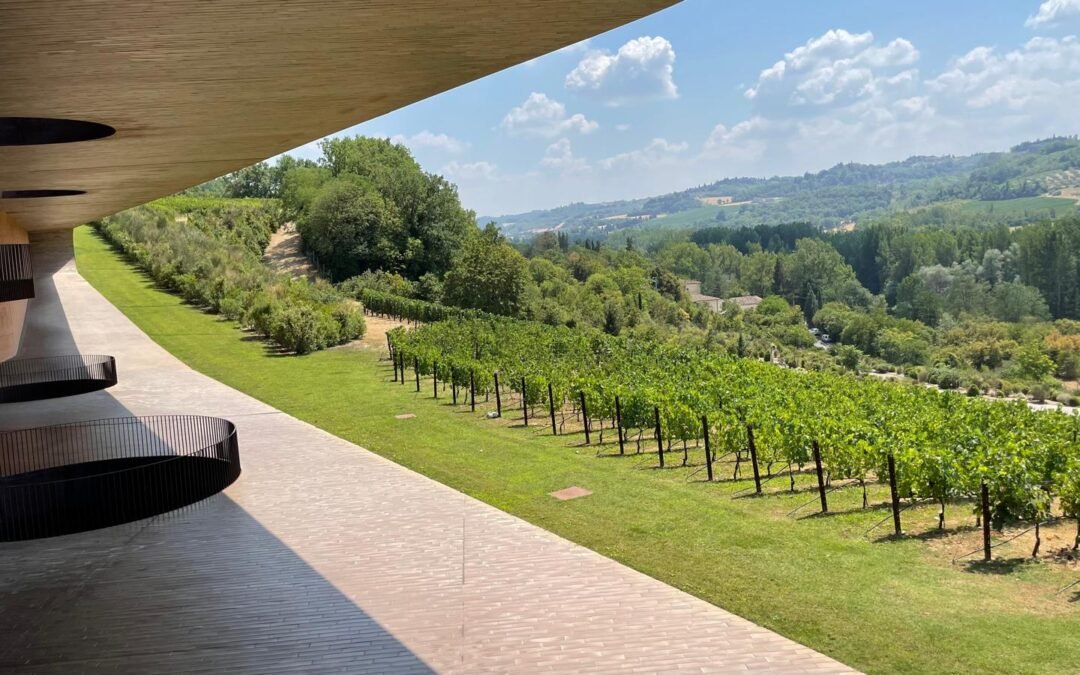 Marchesì Antinori: donde vinos, arquitectura y naturaleza convergen